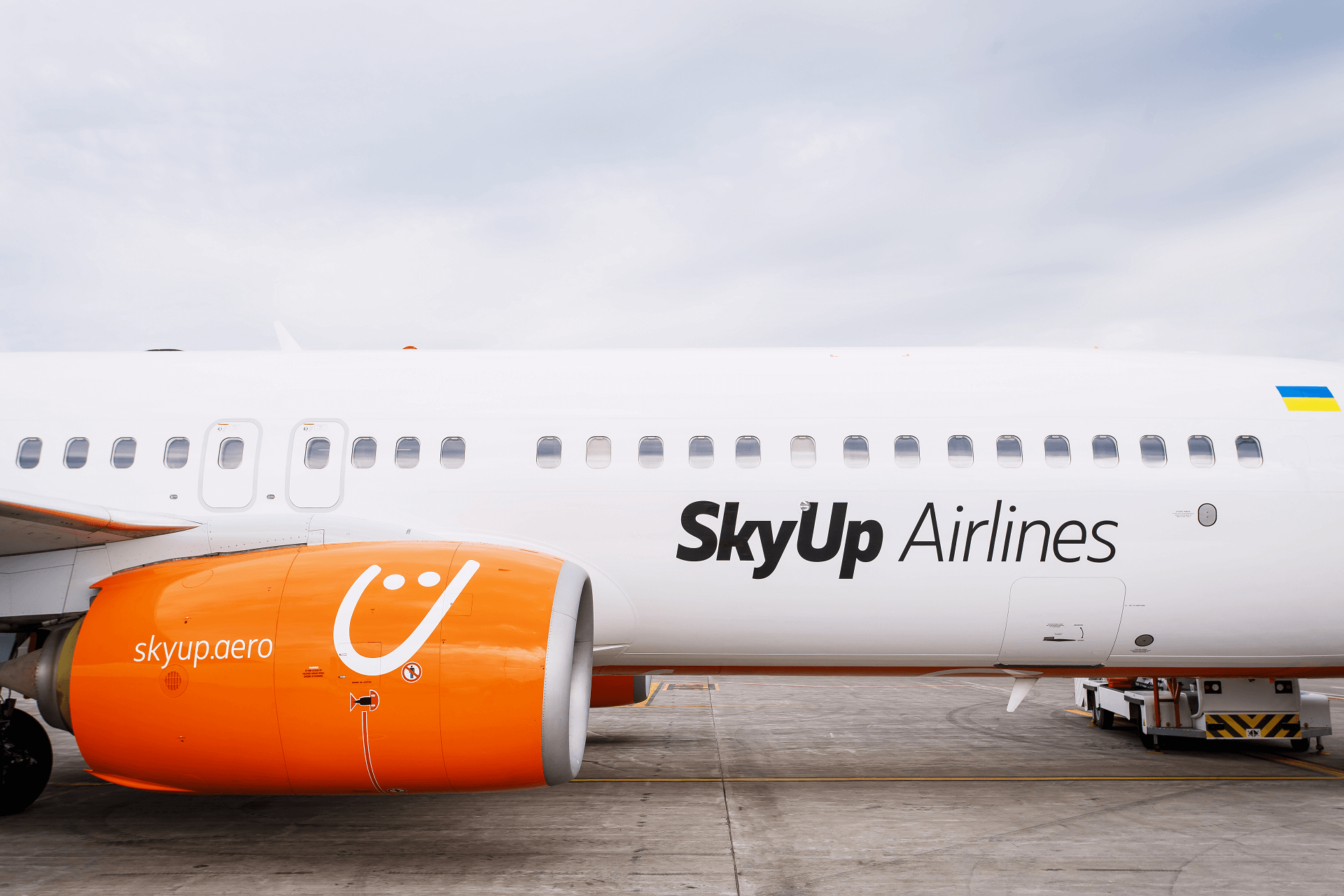 skyup airlins plane logo