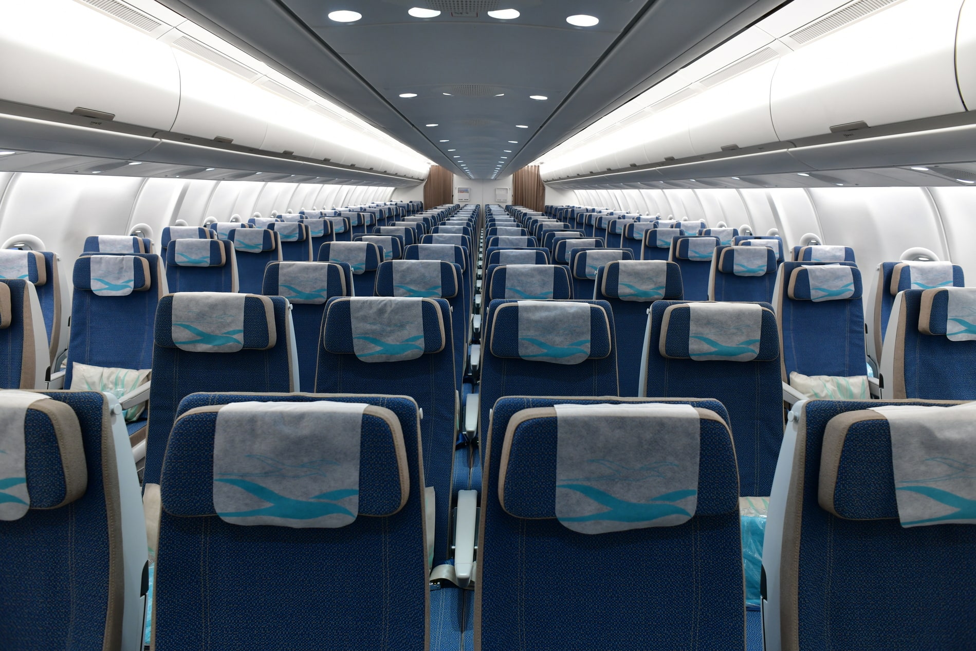 A330neo Economy Cabin